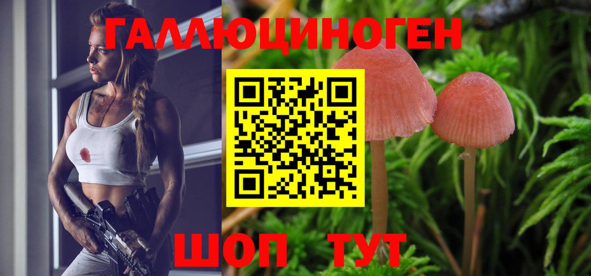 Астрахань  Псилоцибиновые грибы мухоморы  Вход с VPN 